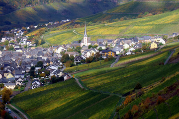 Der Weinort Enkirch an der Mosel in der Verbandsgemeinde Traben-Trarbach im Landkreis Bernkastel-Kues in Rheinland-Pfalz im Herbst. Aussicht vom Wanderweg Moselsteig Seitensprung Leiermannspfad.  © Philipp