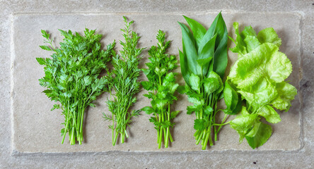 Man walking alone in a serene green field on a sunny day