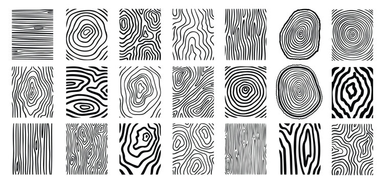Wood lines texture material doodle hand drawn line set. Rings and circles tree trunk geometric curve, wave contour. 