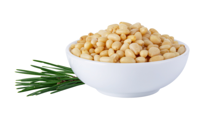 Healthy organic meal featuring shelled pine nuts served in ceramic bowl on white background with sharp focus