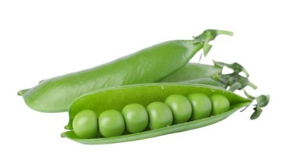 Fresh ripe green peas in an open pod with organic seeds isolated on a white background for healthy vegetarian eating