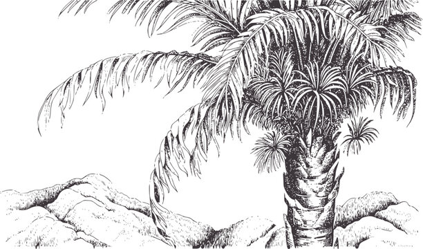 Detailed black and pen and ink of a tropical palm tree with mountains nature