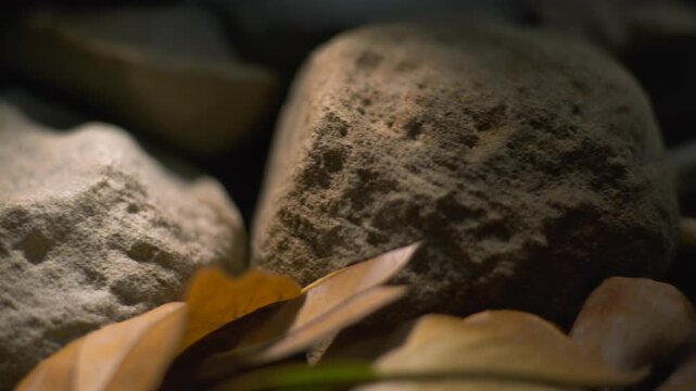 Dark moody rocks with soft dust and a dried leaf in foreground