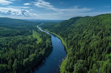 Aerial view of majestic river flowing through dense forests lush green landscape with tall trees along winding waterway under clear blue sky eco-friendly concept