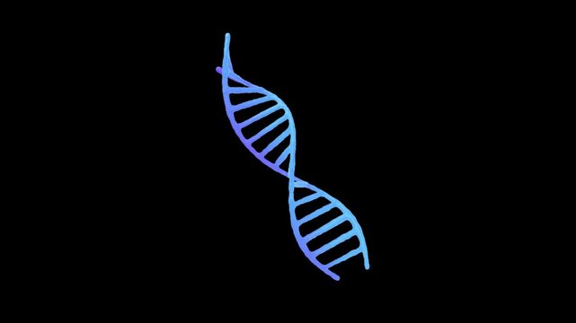 Striking blue gradient representation of a stylized dna double helix molecule rotating slowly against a solid black background symbolizing life science research.