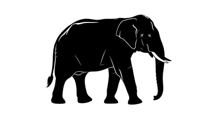 Obraz premium Majestic black elephant silhouette walking with white outlines