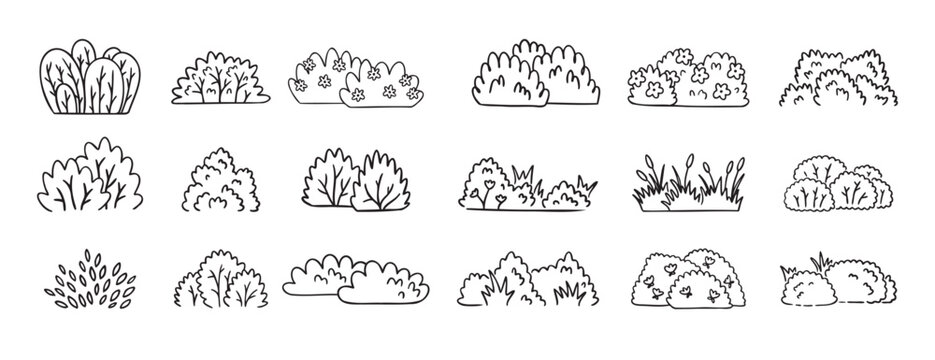 Bushes doodle hand drawn line icon set. Bushes clipart outline