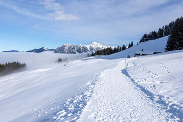 Winter in the Alps, Austria