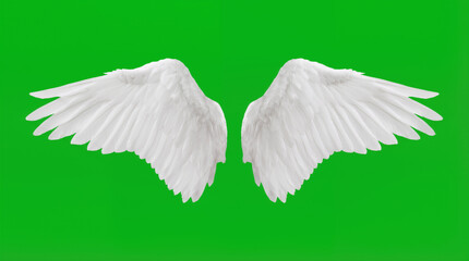 Two large white wings with feathers appear on a bright green background. The wings show detail in their structure and texture, creating a clear visual of the wings
