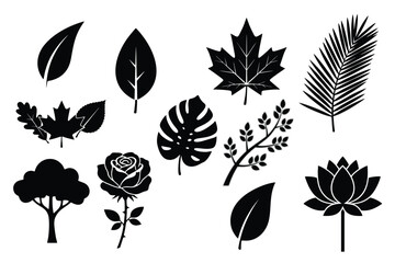 Botanical Leaf and Flower Silhouette Set &ndash; Minimalist Black Vector Icons of Maple, Monstera, Rose, and Tropical Foliage