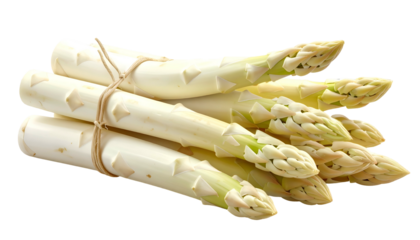 Close-up of a bunch of white asparagus tied with twine, isolated on a transparent backdrop