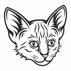 Obraz premium Sphynx cat head drawing shows large ears and distinct facial markings in a close up view.