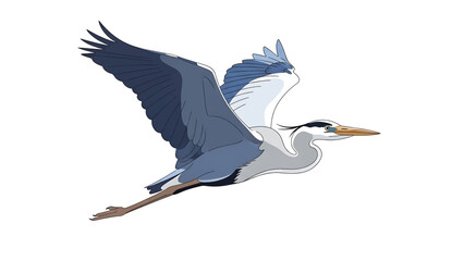 Obraz premium A large, elegant bird with long legs and a long beak is shown in mid-flight against a blank white backdrop. Its wings are outstretched