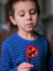 Boy Holding a Slice of Fresh Red Bell Pepper on a Fork - Healthy Eating for Kids: A Child Focused on a Nutritious Red Pepper Snack