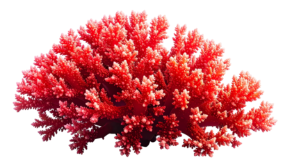 Isolated, vibrant coral with branching structure, digitally rendered against a void background