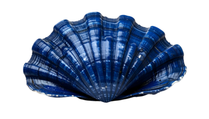 Close-up of a vibrant blue, textured scallop seashell against a black background