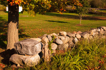 autumn leaves in the park