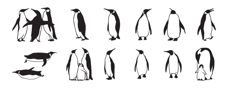 penguin logo doodle hand drawn icon set. Outline drawing penguin line clipart symbol collection