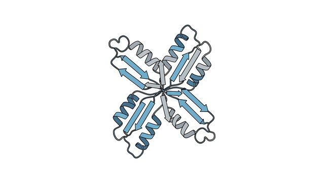 A molecular structure, with a central hub, radiating chains of alpha helices and beta sheets, with blue and grey colors