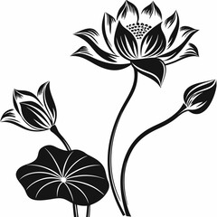 Beautiful detailed black and white vector silhouette illustration of three delicate lotus flowers showing various stages of bloom on thin stems with an accompanying circular leaf.