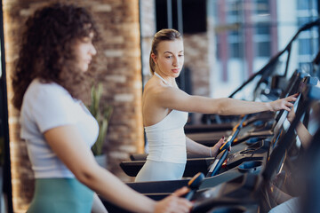 Sporty girls collaborating and preparing for a cardio session at the gym