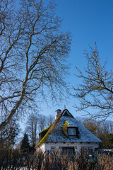 Reet Kate mit B&auml;umen im Garten im Winter.