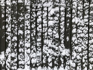 dark wooden plank fence covered with white snow, a contrasting background