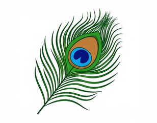 Obraz premium Mor pankh, peacock feather isolated on white background