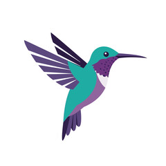 Obraz premium Vibrant vector illustration of a hummingbird in flight on a white background.