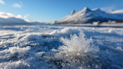 A delicate snowflake sits on a frozen surface, with stunning snow-covered mountains and a clear blue sky behind it. The scene captures the beauty of winter.