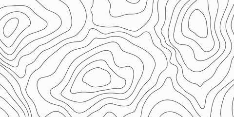 abstract wavy background. topographic contour background. contour lines background. Topographic map contour background. © halwani