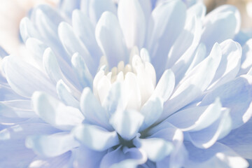 Smoothly blended pastel abstract: a light, flowing floral background with soft color transitions