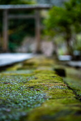 鎌倉251227　建長寺9　半僧坊