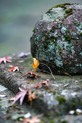 鎌倉251227　建長寺8　半僧坊