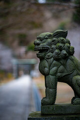 鎌倉251227　建長寺7　狛犬