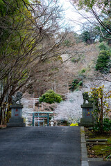 鎌倉251227　建長寺5　半僧坊