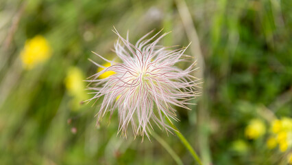 Hiking around Scuol, Swiss Alps