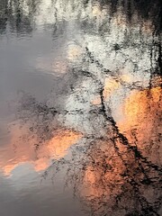 trees reflection on the water surface, beautiful water reflection background