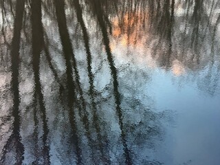 trees reflection on the water surface, beautiful water reflection background
