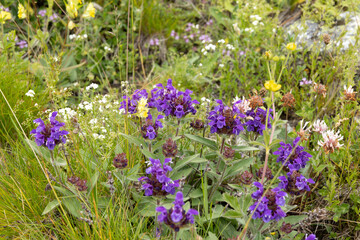 Hiking around Scuol, Swiss Alps