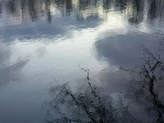 trees reflection on the water surface, beautiful water reflection background