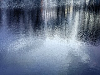 trees reflection on the water surface, beautiful water reflection background