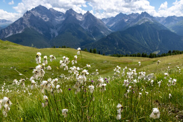 Hiking around Scuol, Swiss Alps
