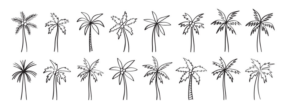 palm tree doodle hand drawn icon set. Outline drawing palm tree line clipart symbol collection