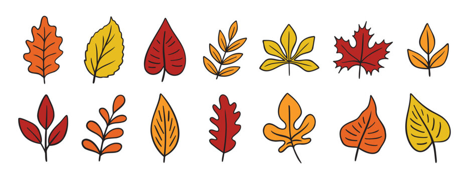 autumn leaves different trees doodle hand drawn icon set. Fall leaves colorful cartoon drawing line clipart symbol collection
