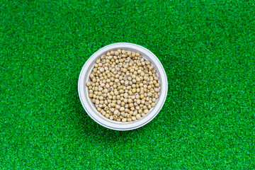 Assorted beans ingredients soybean for cooking