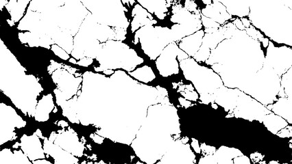 Abstract black and white pattern resembling cracked earth or a marbled stone surface texture is presented