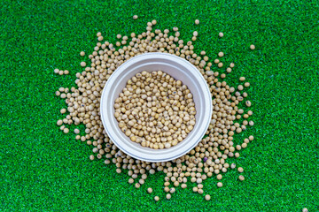 Assorted beans ingredients soybean for cooking