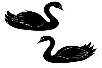 Swan silhouette vector, Swan icon black symbol
