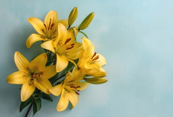 Yellow Lilies in Bloom Against Soft Blue Background for Elegant Spring Floral Nature Design
